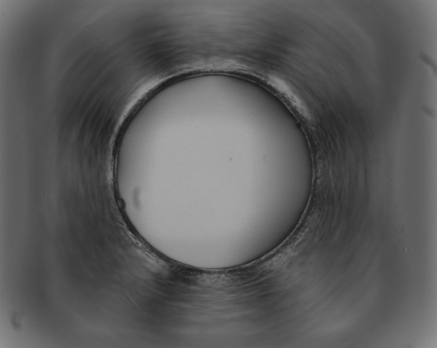 X0000091681232200709201232