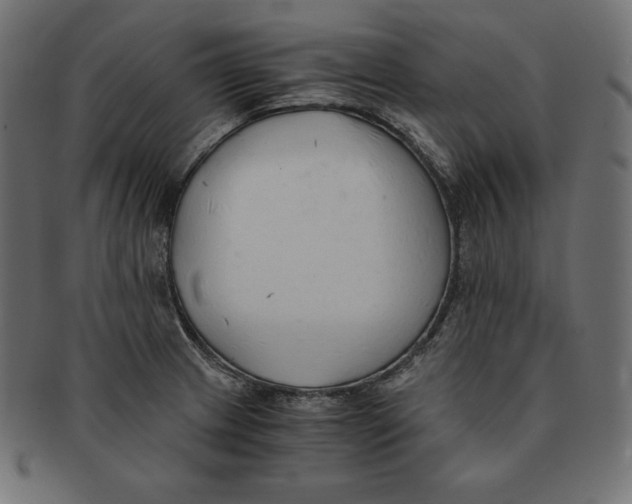 X0000091681233200709201232