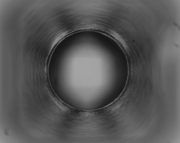 X0000091681234200709201232