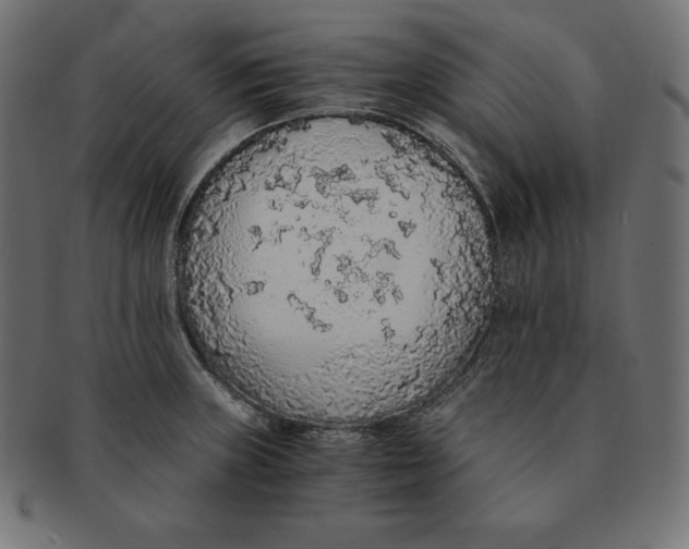 X0000091681235200709201232