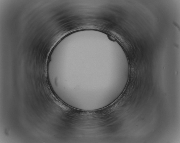 X0000091681236200709201232