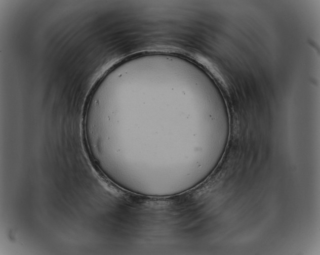 X0000091681237200709201232