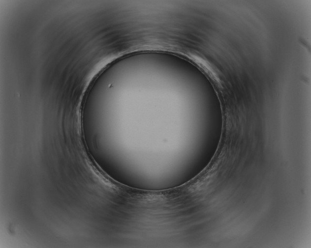 X0000091681238200709201232