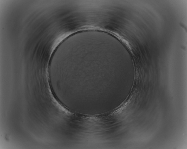 X0000091681239200709201232