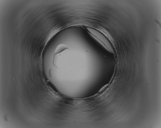 X0000091681242200709201232