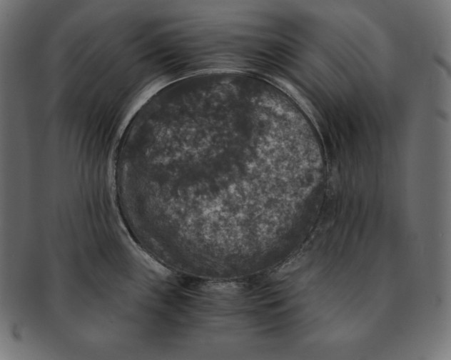 X0000091681243200709201232