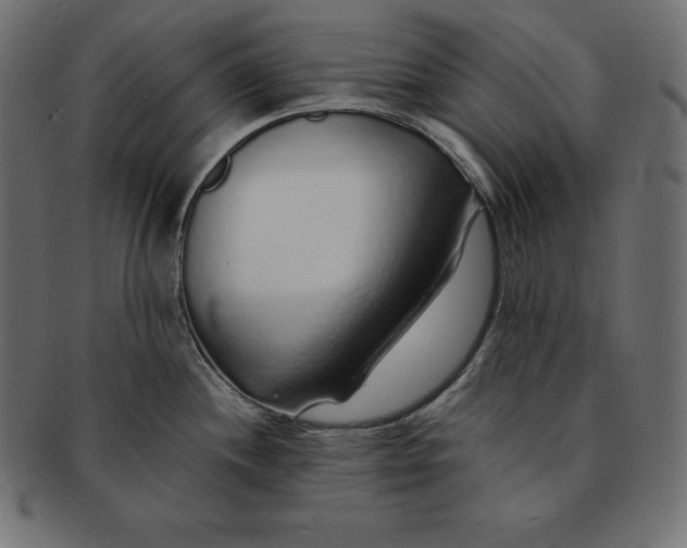 X0000091681244200709201232