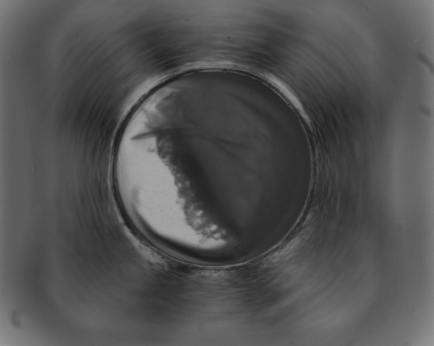 X0000091681245200709201232