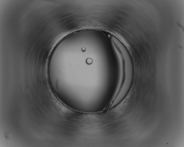 X0000091681246200709201233