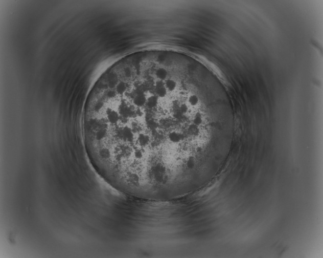 X0000091681247200709201233