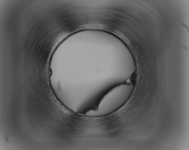 X0000091681248200709201233