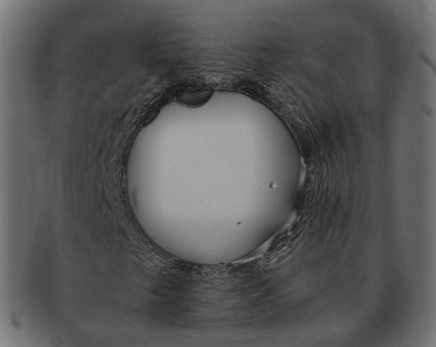 X0000091681249200709201232