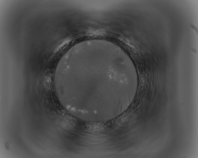 X0000091681254200709201232