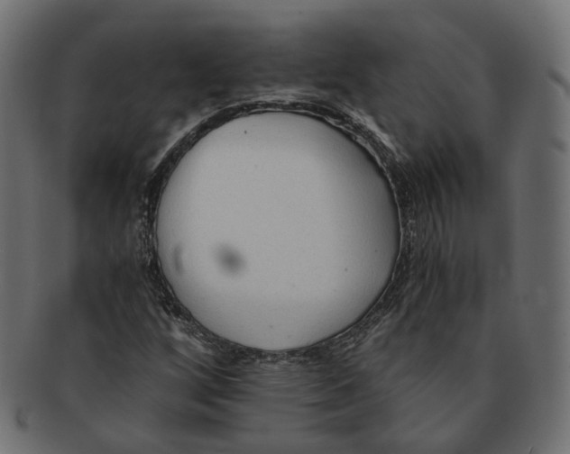 X0000091681256200709201232