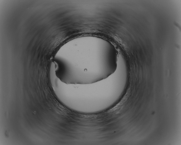 X0000091681257200709201232