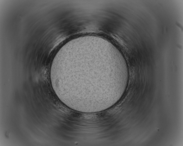 X0000091681258200709201232