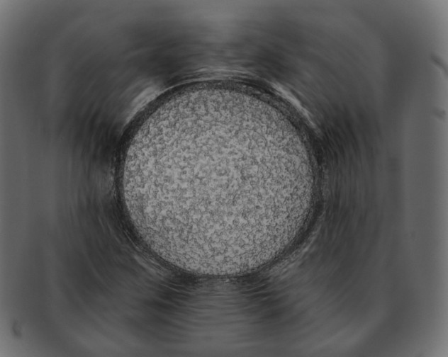 X0000091681259200709201232