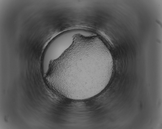 X0000091681260200709201232