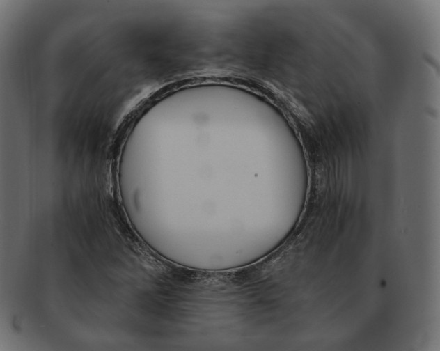 X0000091681262200709201232