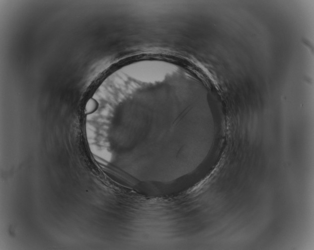 X0000091681263200709201232