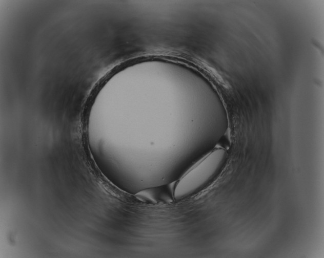 X0000091681264200709201232