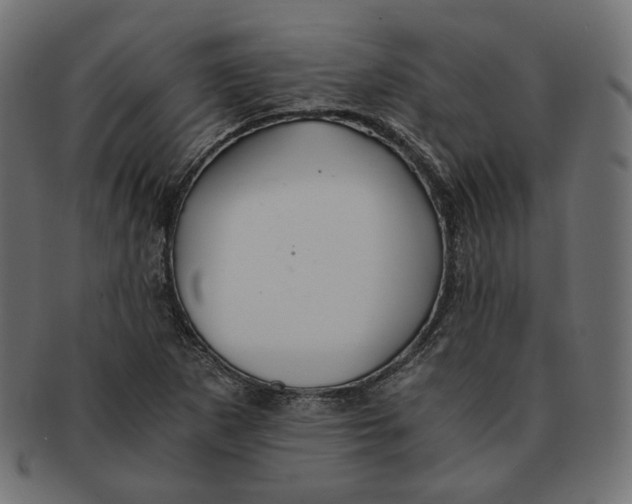 X0000091681265200709201232