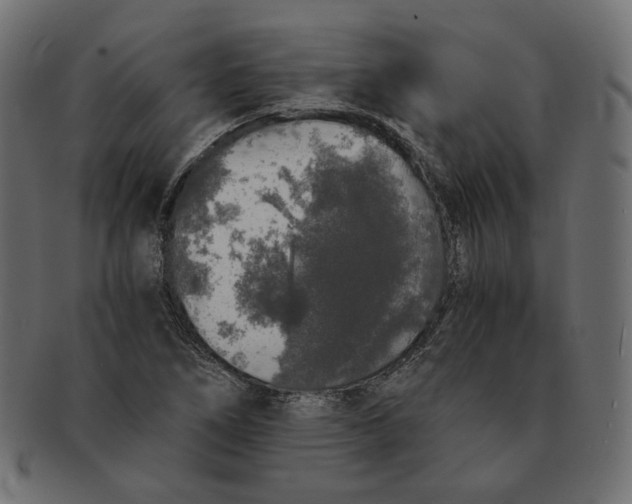 X0000091681266200709201232