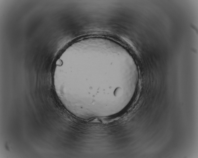 X0000091681267200709201232