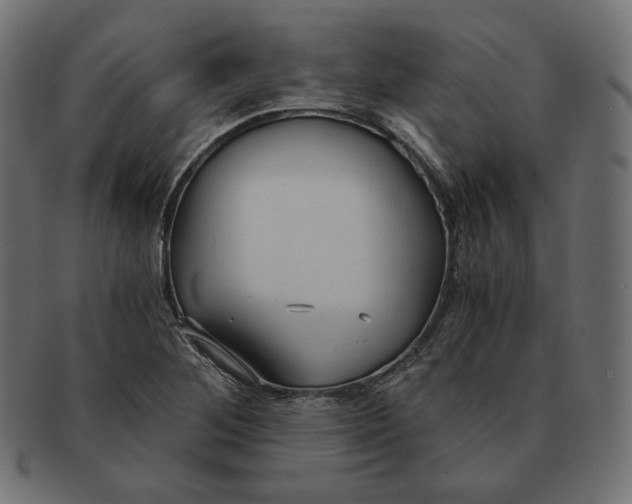 X0000091681268200709201232