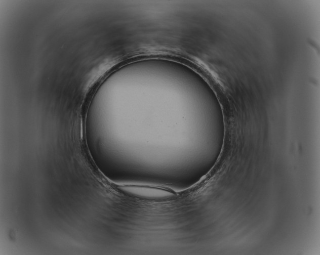 X0000091681269200709201232