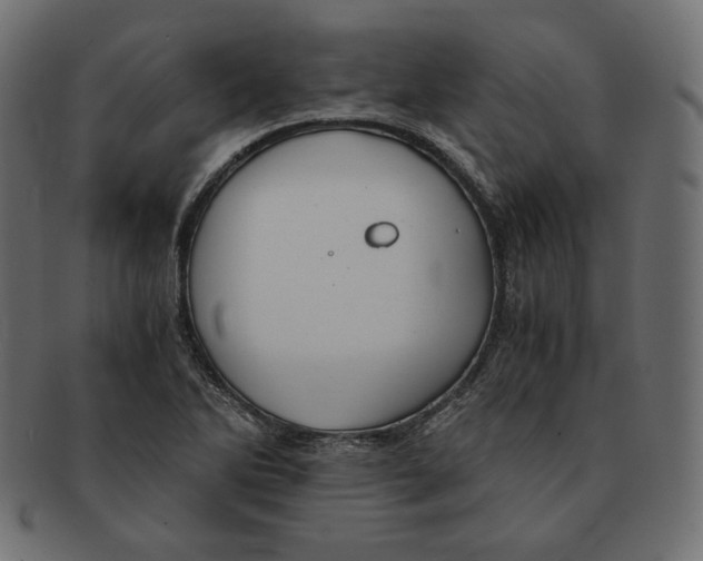 X0000091681270200709201232