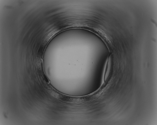 X0000091681273200709201231