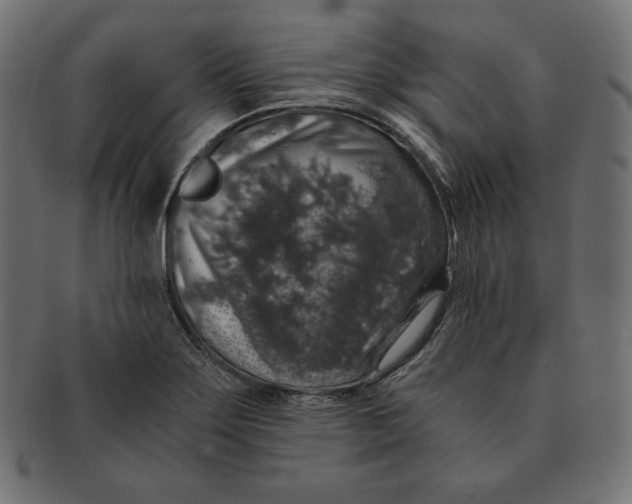 X0000091681275200709201231