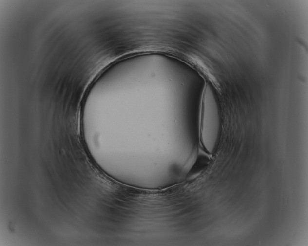 X0000091681276200709201231