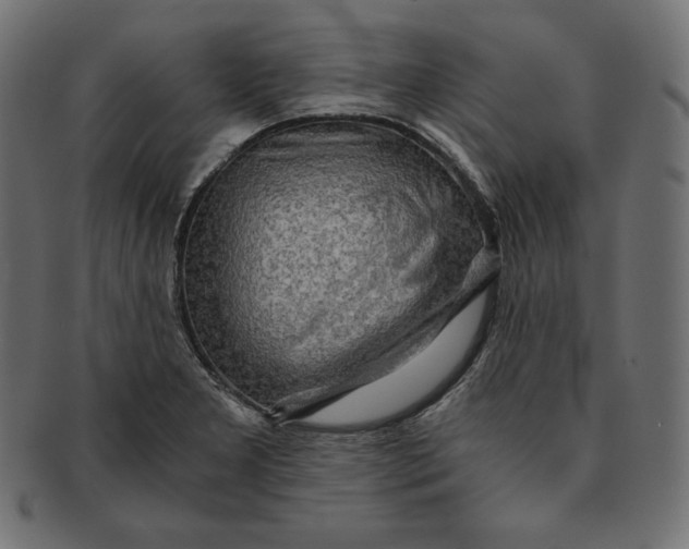 X0000091681277200709201231