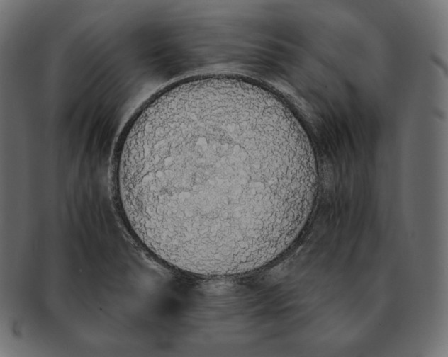 X0000091681278200709201231