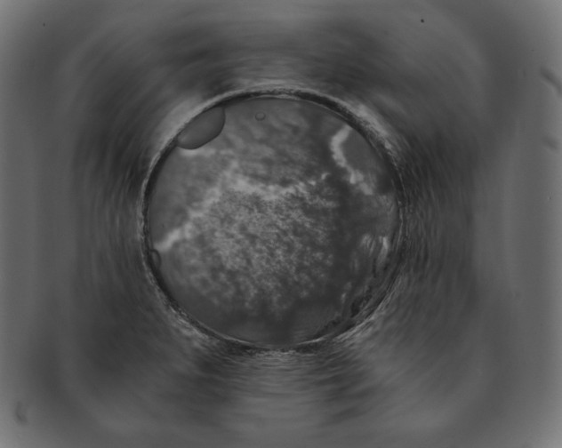 X0000091681279200709201231