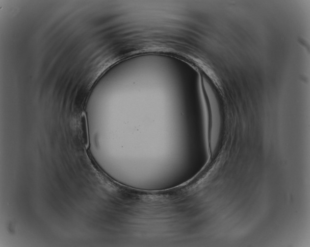 X0000091681281200709201231