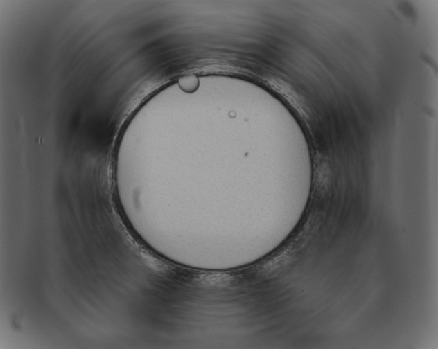 X0000091681282200709201231