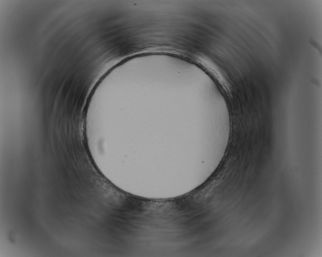 X0000091681284200709201231