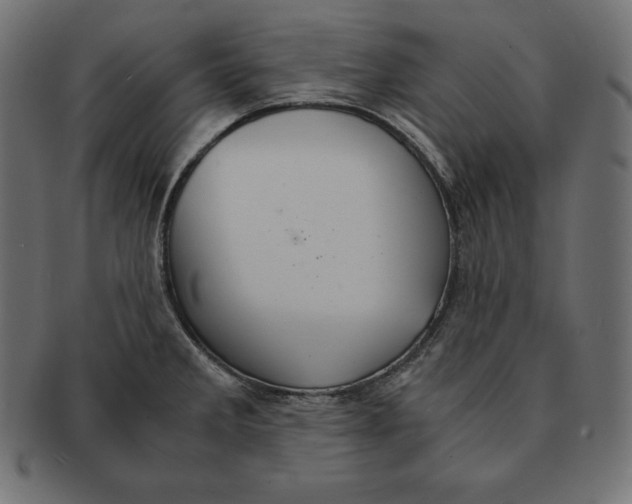 X0000091681285200709201231