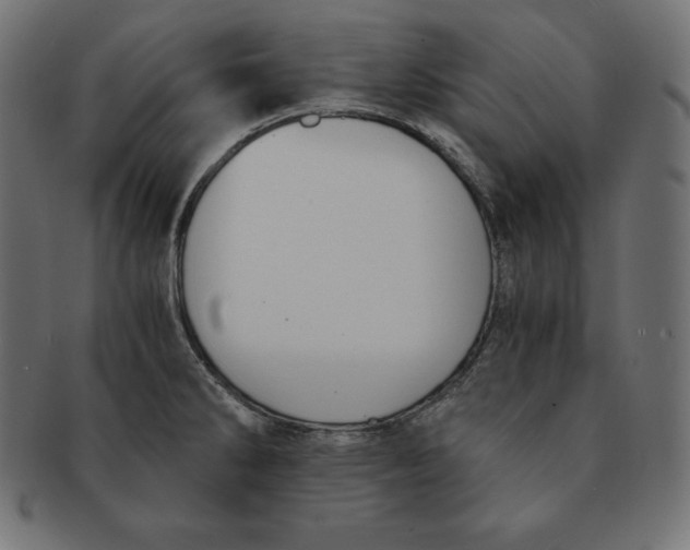 X0000091681286200709201231