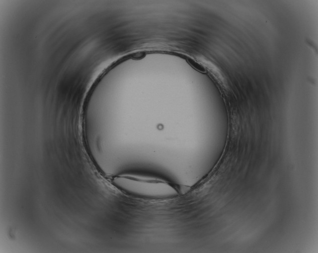 X0000091681288200709201231