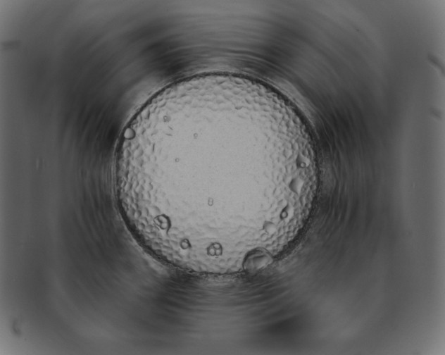 X0000091681290200709201231