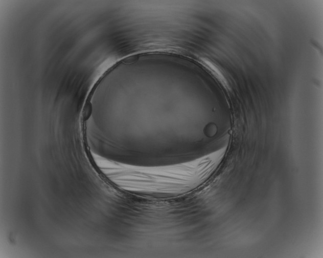 X0000091681291200709201231