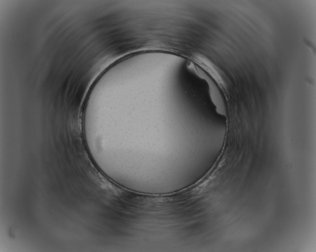 X0000091681292200709201231