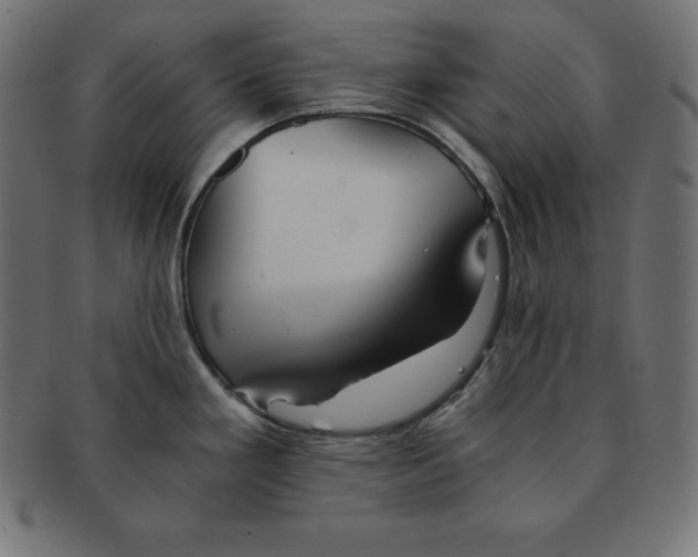 X0000091681293200709201231