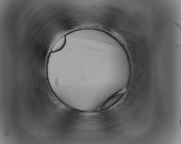 X0000091681296200709201231