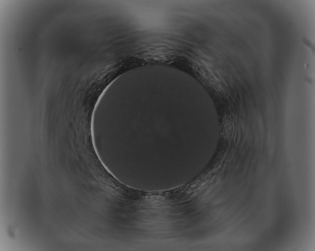 X0000091681297200709201231