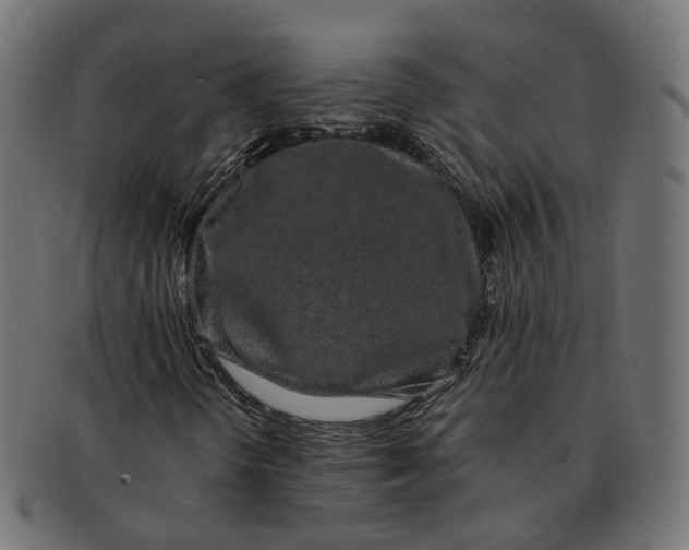 X0000091681298200709201231